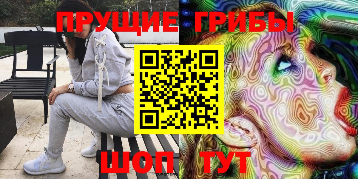 Дальнегорск  Галлюциногенные грибы Psilocybe  Вход с VPN 
